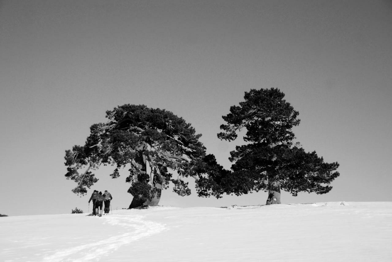 Tana Libera Tutti 2 Nature, Yourself, Love Viggianello Dış mekan fotoğraf